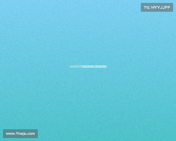 nets2020全国电子竞技大赛,全国电子竞技比赛