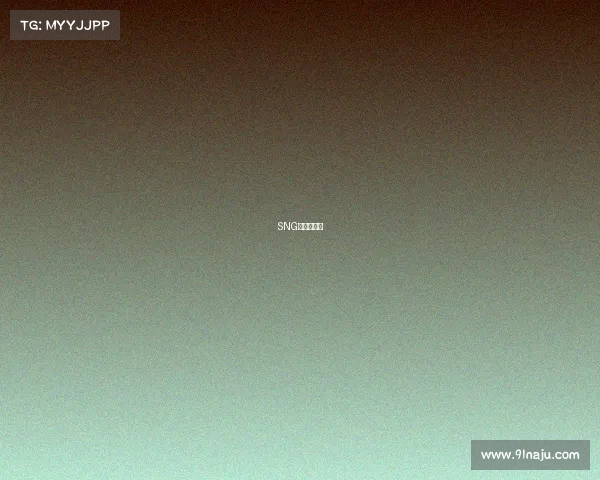 SNG雄狮再出征 SNG雄狮再出征